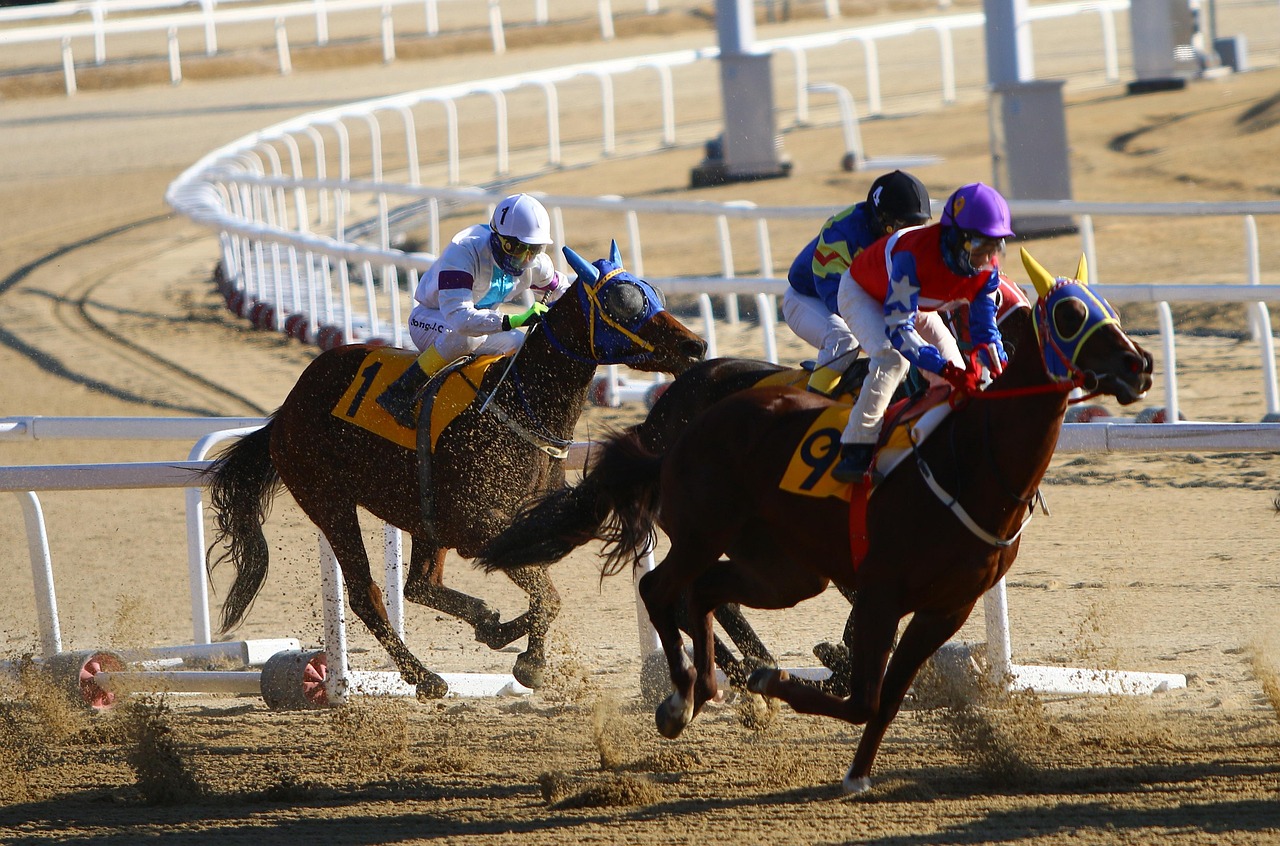 Is Legal Indian Horse Racing Betting Legal in India? Complete 2026 Guide